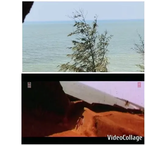 Ocean View and Desert Pathway