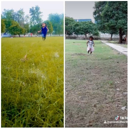 Children Running in Grassy Fields