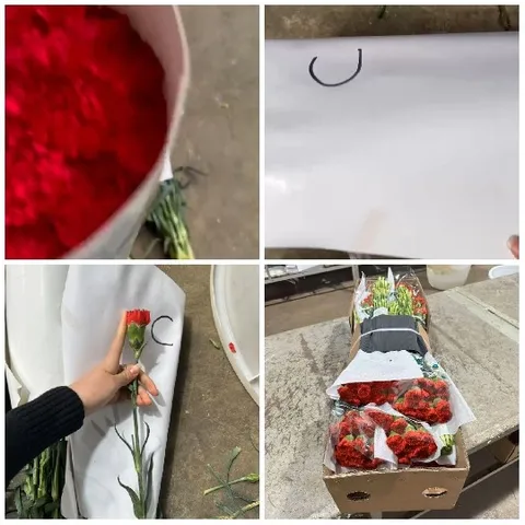 Red Flowers and Paper Items