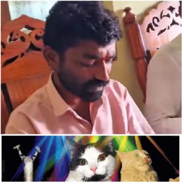 Man and Cats on Colorful Background