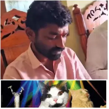 Man and Cats on Colorful Background