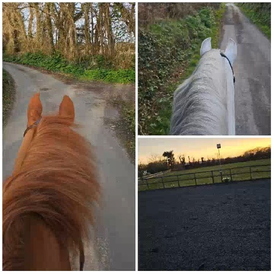 Horses Walking Along Rural Paths