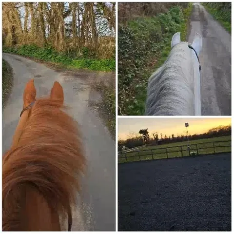 Horses Walking Along Rural Paths