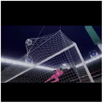 Soccer Ball Hitting the Goal