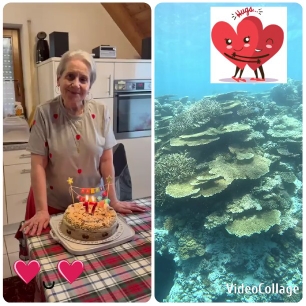 Birthday Celebration and Underwater Scene
