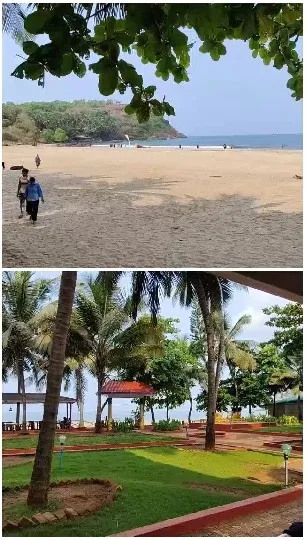 Beach and Garden Landscapes