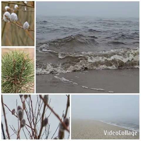 Close-ups of Nature Scenes
