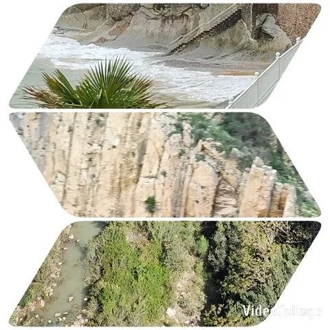 Three Different Landscape Scenes