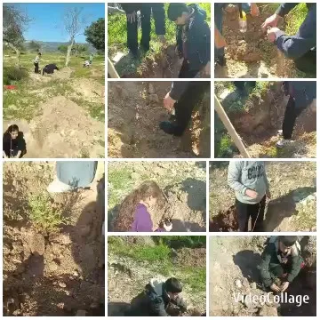 Gardening Activity in Nature