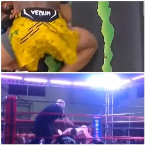 Fighter and Referee in Action
