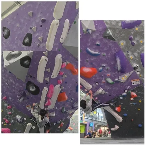 Climbers at an Indoor Gym