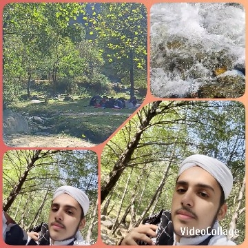 Nature Scenes and Picnic Gathering