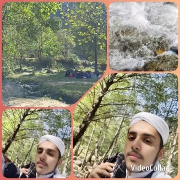 Nature Scenes and Picnic Gathering