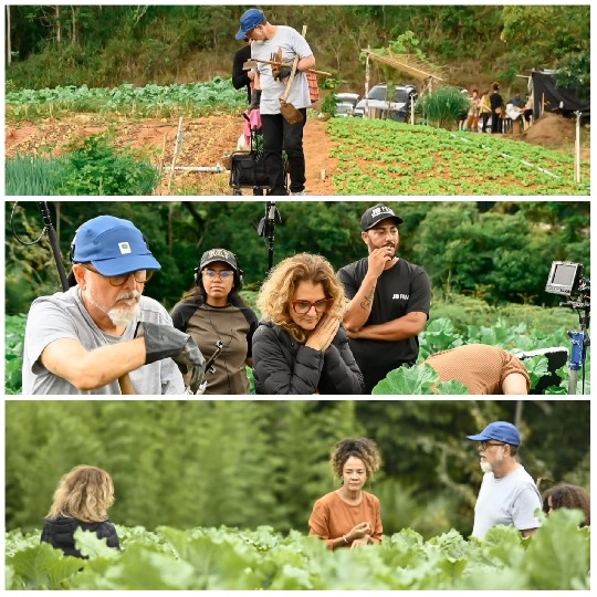 People Working in Green Field