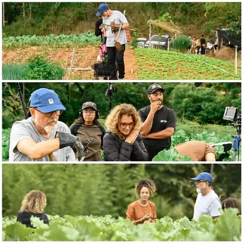 People Working in Green Field