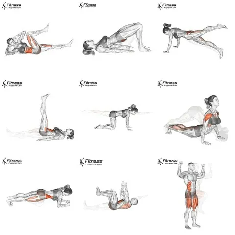 Illustrated Exercise Poses for Fitness