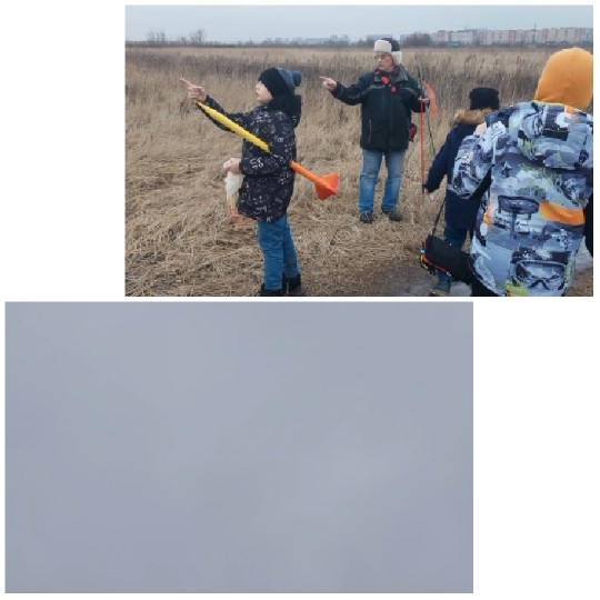 Pointing in a Winter Field