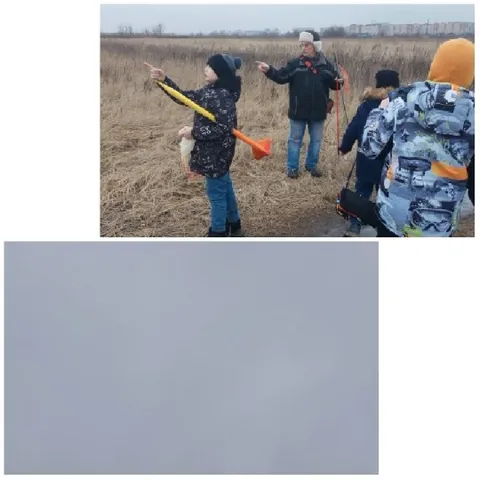 Pointing in a Winter Field