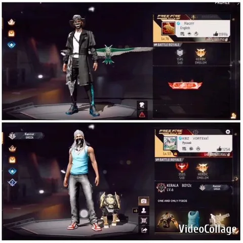 Video Game Character Profiles Display