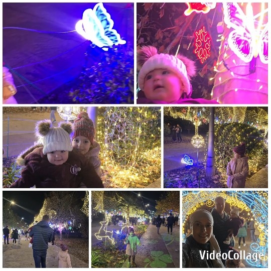 Families Enjoying Light Display