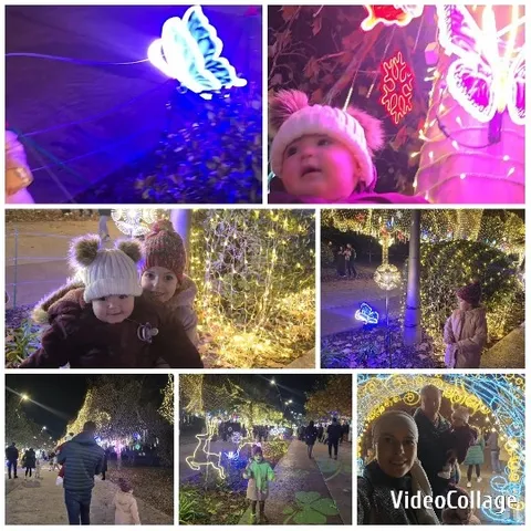 Families Enjoying Light Display