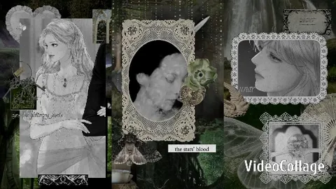 Artistic Vintage Illustrations and Portraits