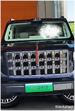 Dark SUV With Green License Plate