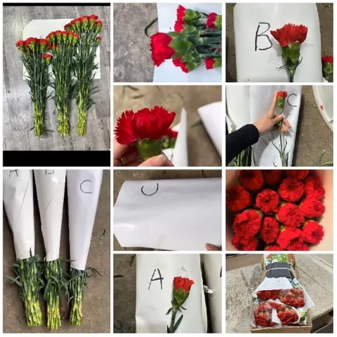 Various Arrangements of Red Flowers