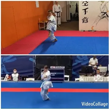 Martial Artist Practices Kata in Dojo