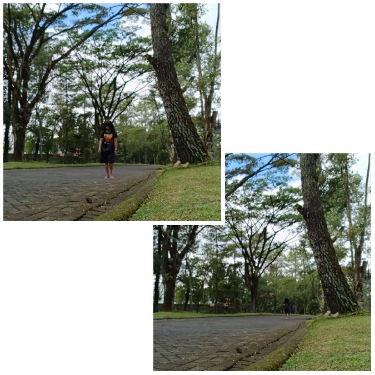 Person Walking in Nature