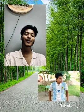 Tree-Lined Road with Two Photos