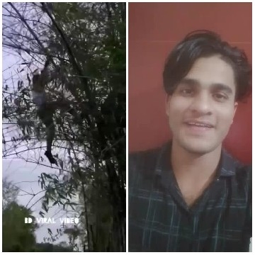 Climbing a Tree and Smiling