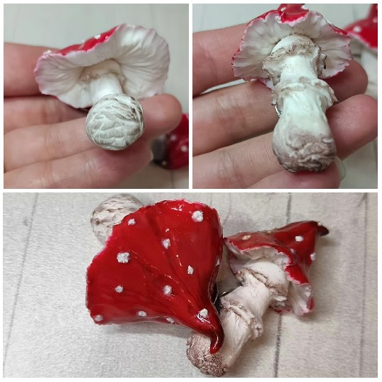 Red and White Mushrooms in Focus