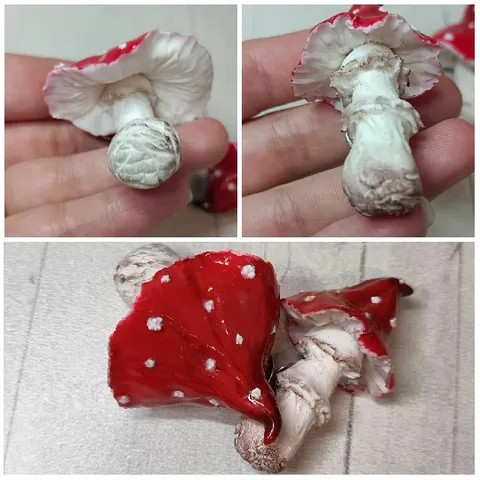 Red and White Mushrooms in Focus