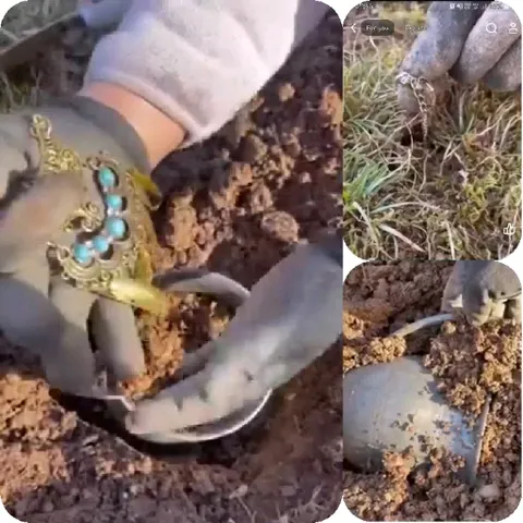 Digging for Jewelry in Soil