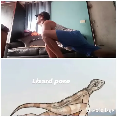 Yoga Stretch with Lizard Pose Illustration