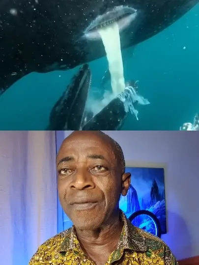 Underwater Creature and Man Indoors