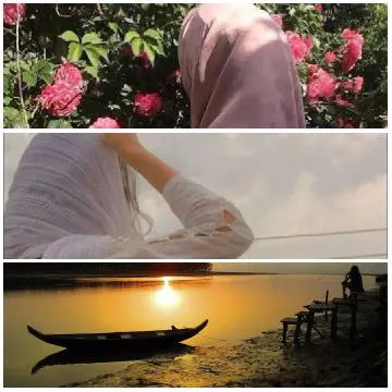Person Among Blooming Pink Roses