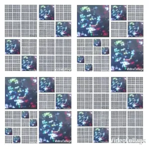 Colorful Blurred Lights Patterns