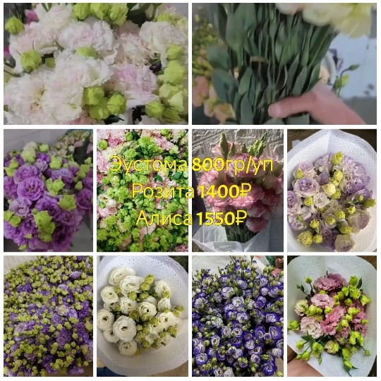 Various Flower Arrangements with Prices