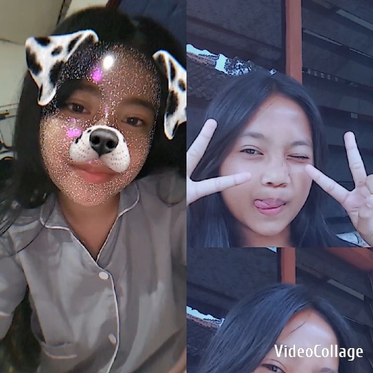 Dog Filter and Playful Poses