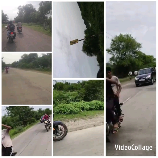 Rural Road with Motorcycles and Trees