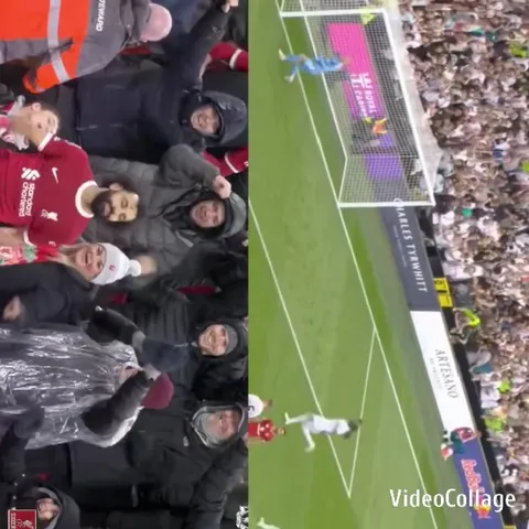 Cheering Crowd at Sporting Event