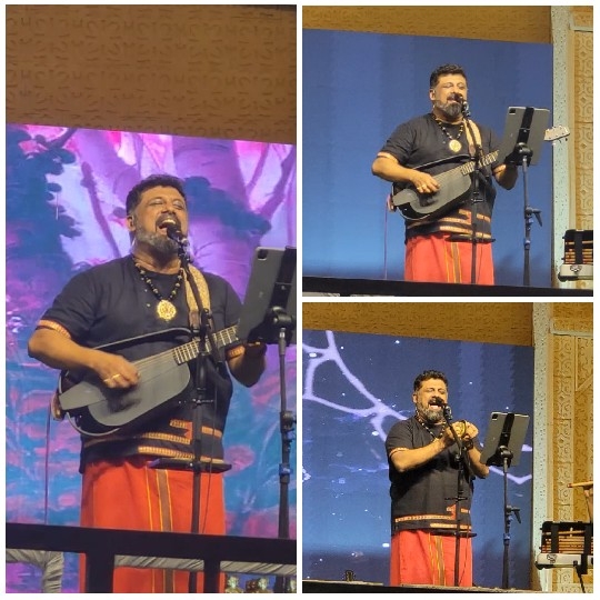 Musician Performing on Stage