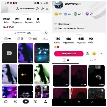 Social Media Profiles with Statistics