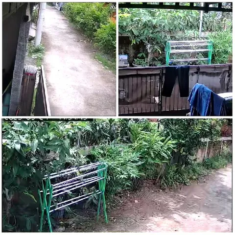 Pathway, Laundry Rack, and Greenery