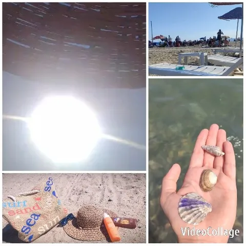 Beach Day with Friends and Fun