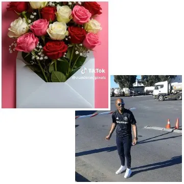 Multicolored Roses And Outdoor Scene