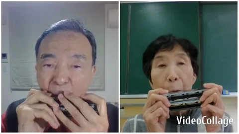 Harmonica Players in Different Settings