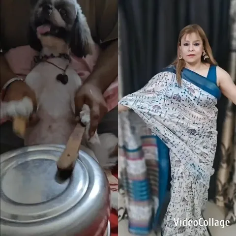 Dog Playing with Metal Container
